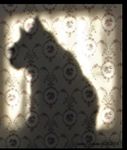 Profile (orez)
